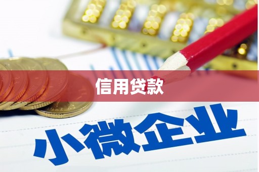 二仑信用贷款