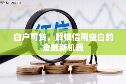 二仑白户可贷，解锁信用空白的金融新机遇
