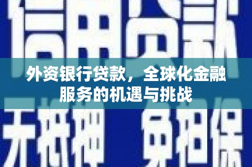 二仑外资银行贷款，全球化金融服务的机遇与挑战
