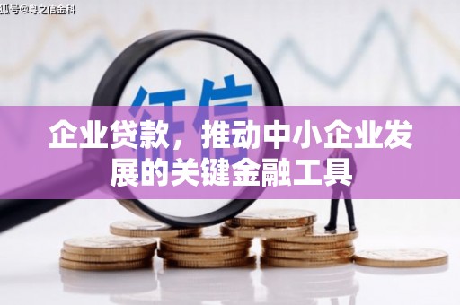 二仑企业贷款，推动中小企业发展的关键金融工具
