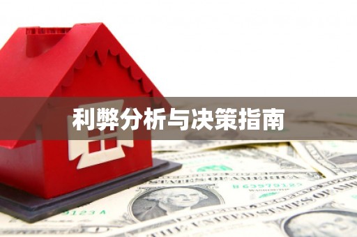 二仑利弊分析与决策指南