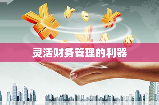 二仑灵活财务管理的利器
