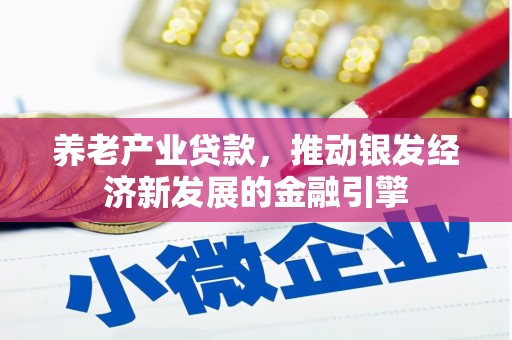 二仑养老产业贷款，推动银发经济新发展的金融引擎