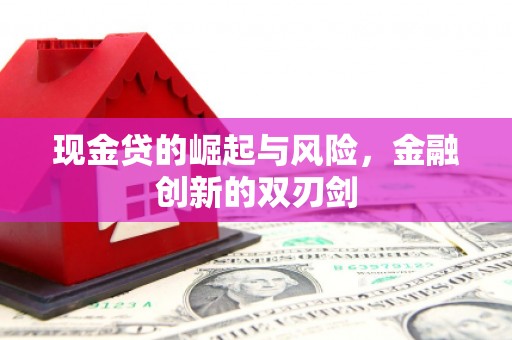 二仑现金贷的崛起与风险，金融创新的双刃剑