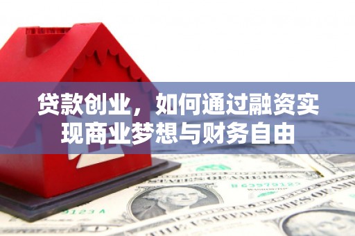 二仑贷款创业，如何通过融资实现商业梦想与财务自由
