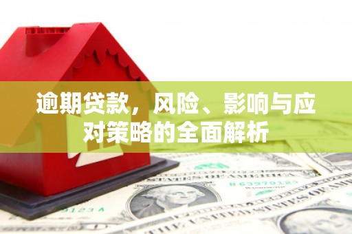 二仑逾期贷款，风险、影响与应对策略的全面解析
