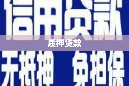 二仑质押贷款