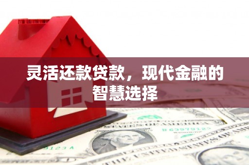 二仑灵活还款贷款，现代金融的智慧选择