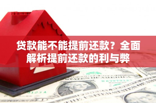 二仑贷款能不能提前还款？全面解析提前还款的利与弊