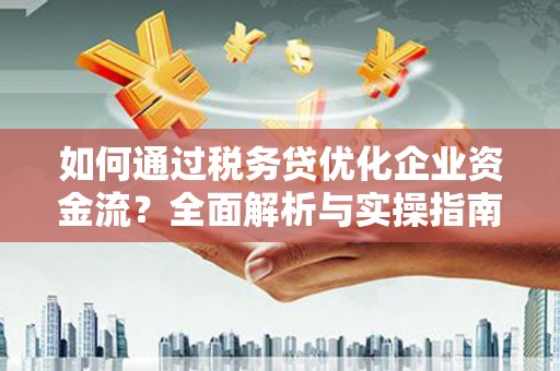 二仑如何通过税务贷优化企业资金流？全面解析与实操指南