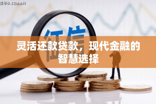 二仑灵活还款贷款，现代金融的智慧选择