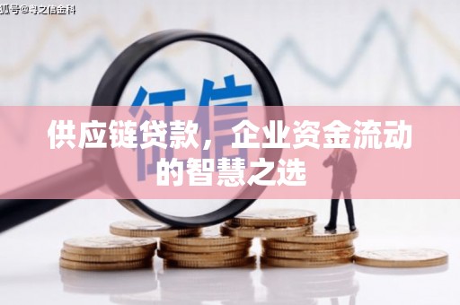 二仑供应链贷款，企业资金流动的智慧之选