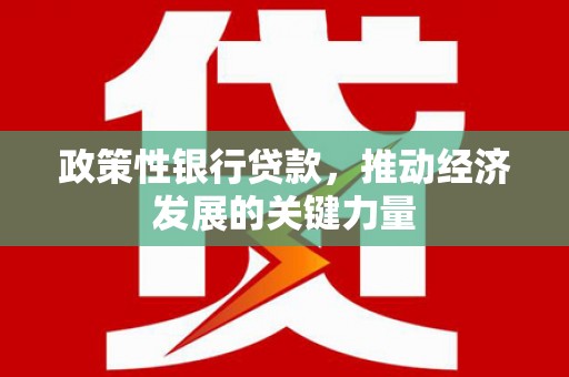 二仑政策性银行贷款，推动经济发展的关键力量