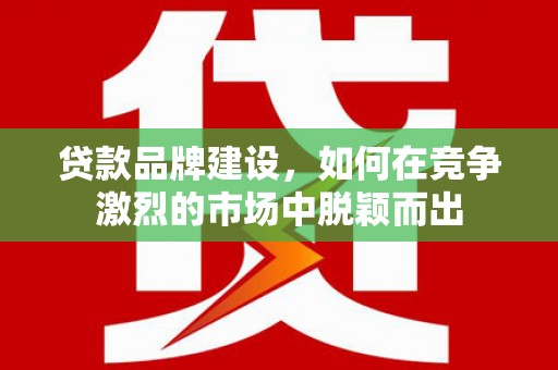 二仑贷款品牌建设，如何在竞争激烈的市场中脱颖而出