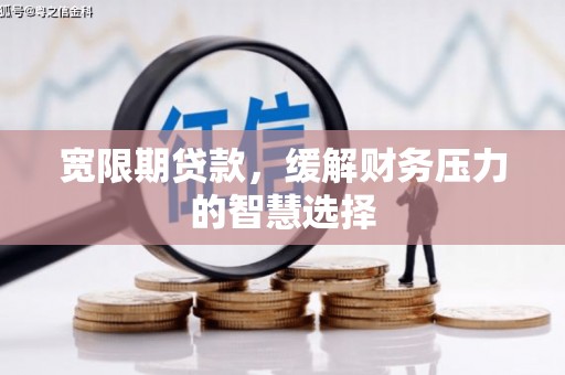 二仑宽限期贷款，缓解财务压力的智慧选择