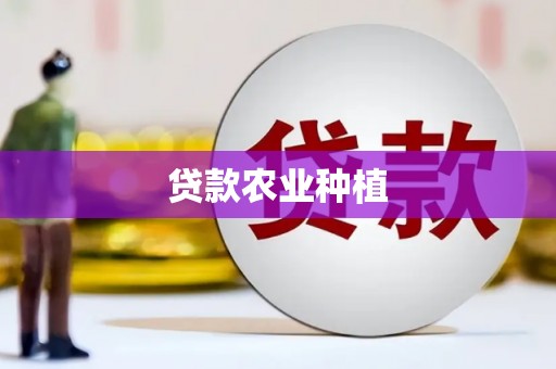 二仑贷款农业种植