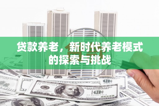 二仑贷款养老，新时代养老模式的探索与挑战