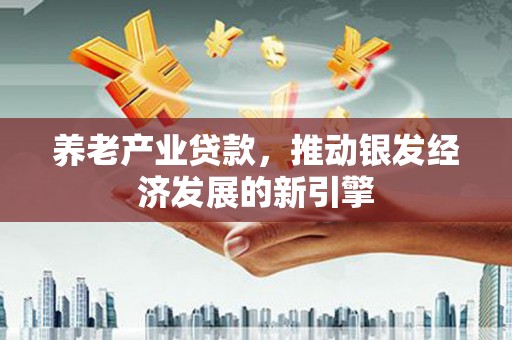 二仑养老产业贷款，推动银发经济发展的新引擎