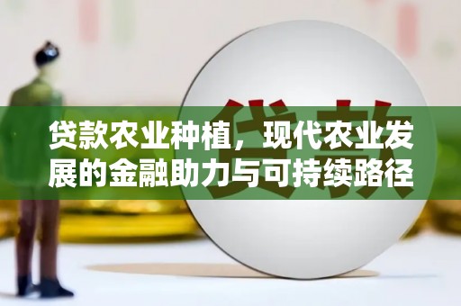 二仑贷款农业种植，现代农业发展的金融助力与可持续路径