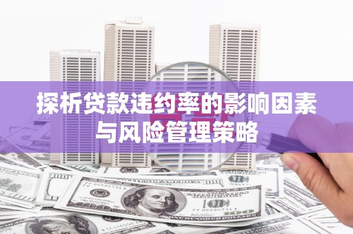 二仑探析贷款违约率的影响因素与风险管理策略