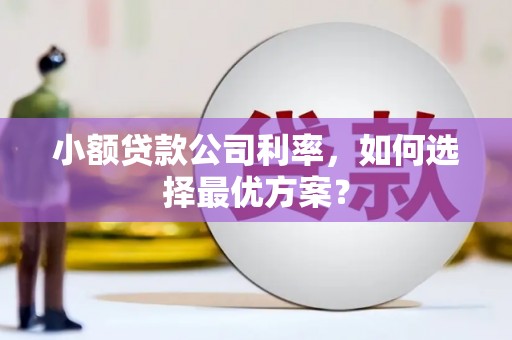 二仑小额贷款公司利率，如何选择最优方案？