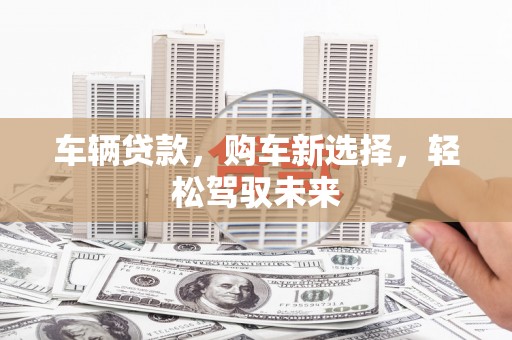二仑车辆贷款，购车新选择，轻松驾驭未来