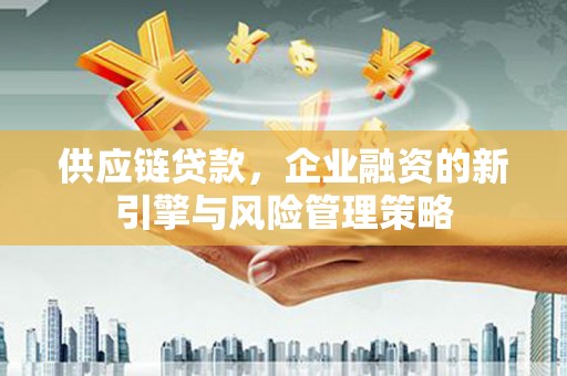二仑供应链贷款，企业融资的新引擎与风险管理策略