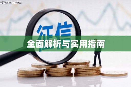 二仑全面解析与实用指南