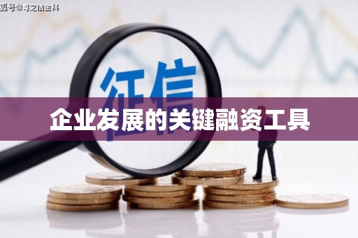 二仑企业发展的关键融资工具