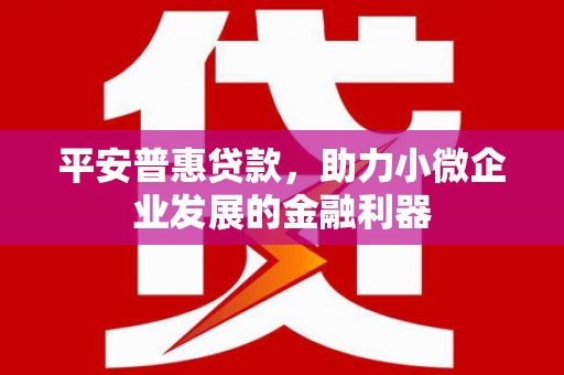 二仑平安普惠贷款，助力小微企业发展的金融利器