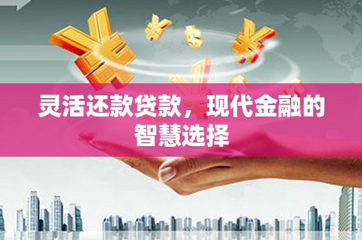 二仑灵活还款贷款，现代金融的智慧选择