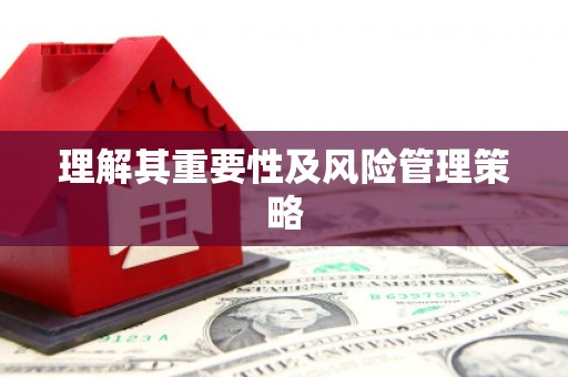 二仑理解其重要性及风险管理策略