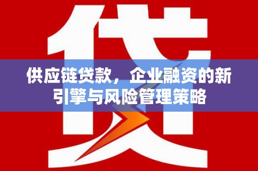 二仑供应链贷款，企业融资的新引擎与风险管理策略