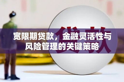 二仑宽限期贷款，金融灵活性与风险管理的关键策略