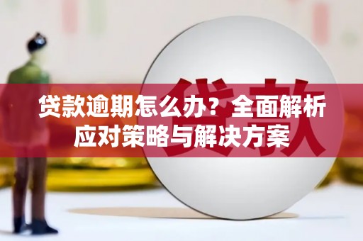 二仑贷款逾期怎么办？全面解析应对策略与解决方案