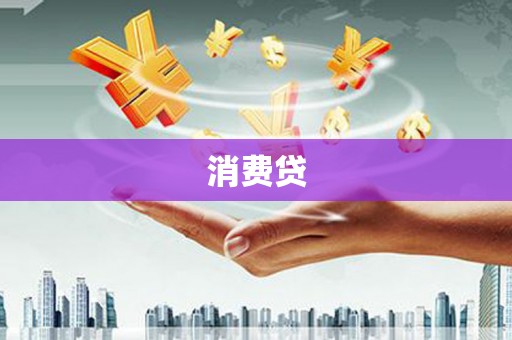 二仑消费贷