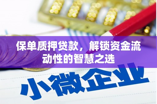 二仑保单质押贷款，解锁资金流动性的智慧之选