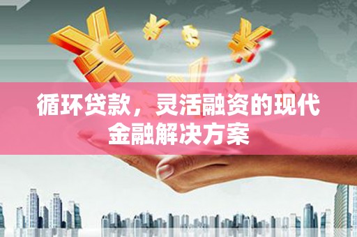 二仑循环贷款，灵活融资的现代金融解决方案