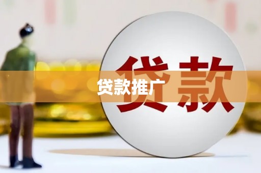 二仑贷款推广
