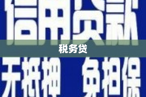 二仑税务贷