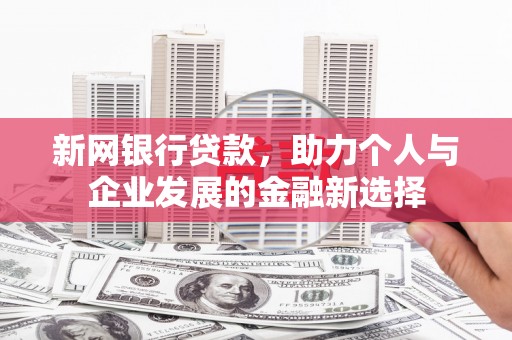 二仑新网银行贷款，助力个人与企业发展的金融新选择