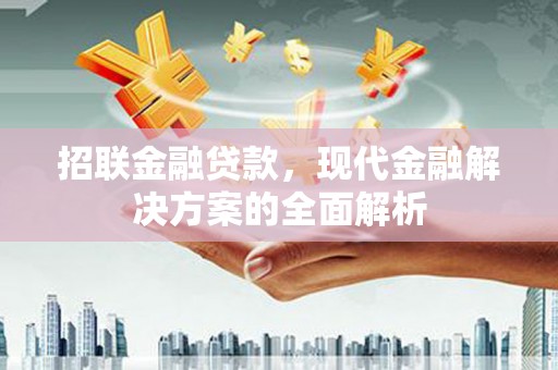 二仑招联金融贷款，现代金融解决方案的全面解析