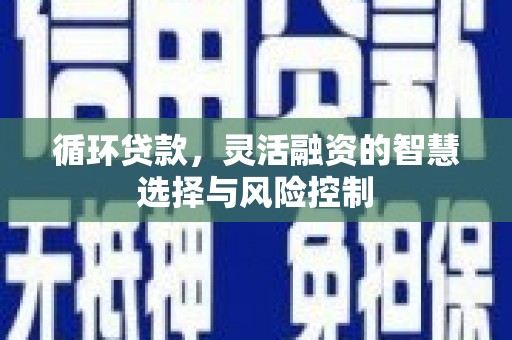 二仑循环贷款，灵活融资的智慧选择与风险控制