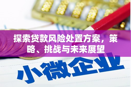 二仑探索贷款风险处置方案，策略、挑战与未来展望