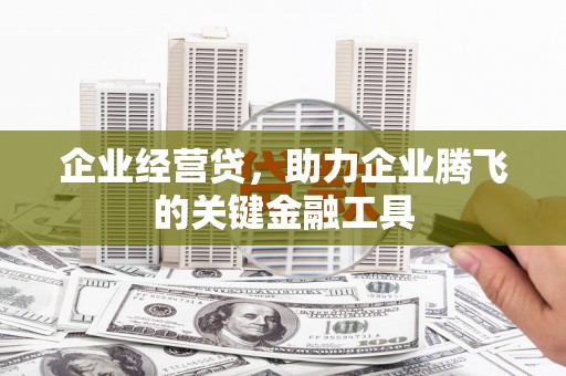 二仑企业经营贷，助力企业腾飞的关键金融工具
