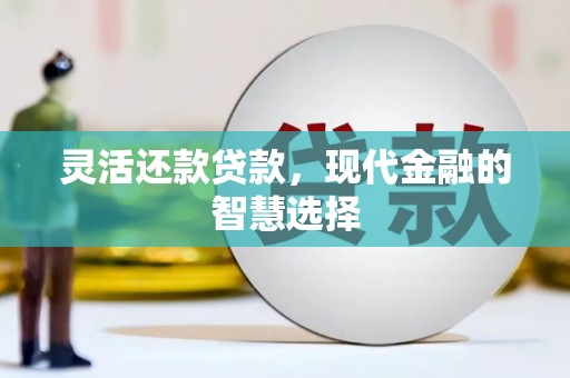 二仑灵活还款贷款，现代金融的智慧选择