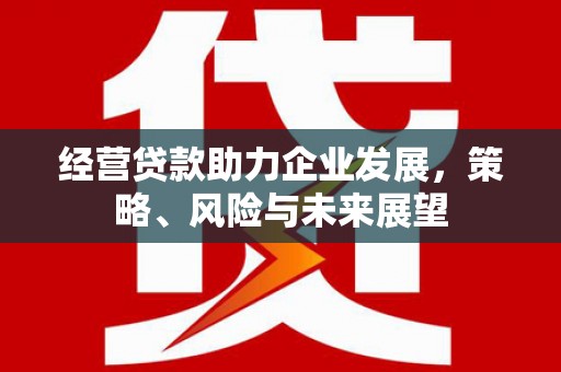 二仑经营贷款助力企业发展，策略、风险与未来展望