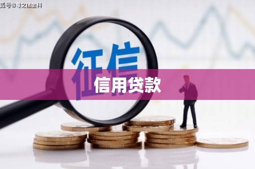 二仑信用贷款