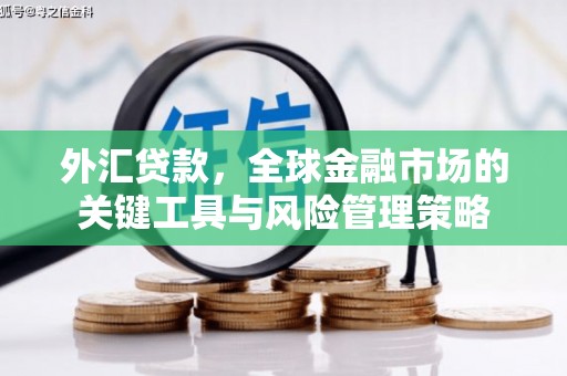 二仑外汇贷款，全球金融市场的关键工具与风险管理策略