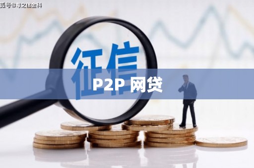 二仑P2P 网贷